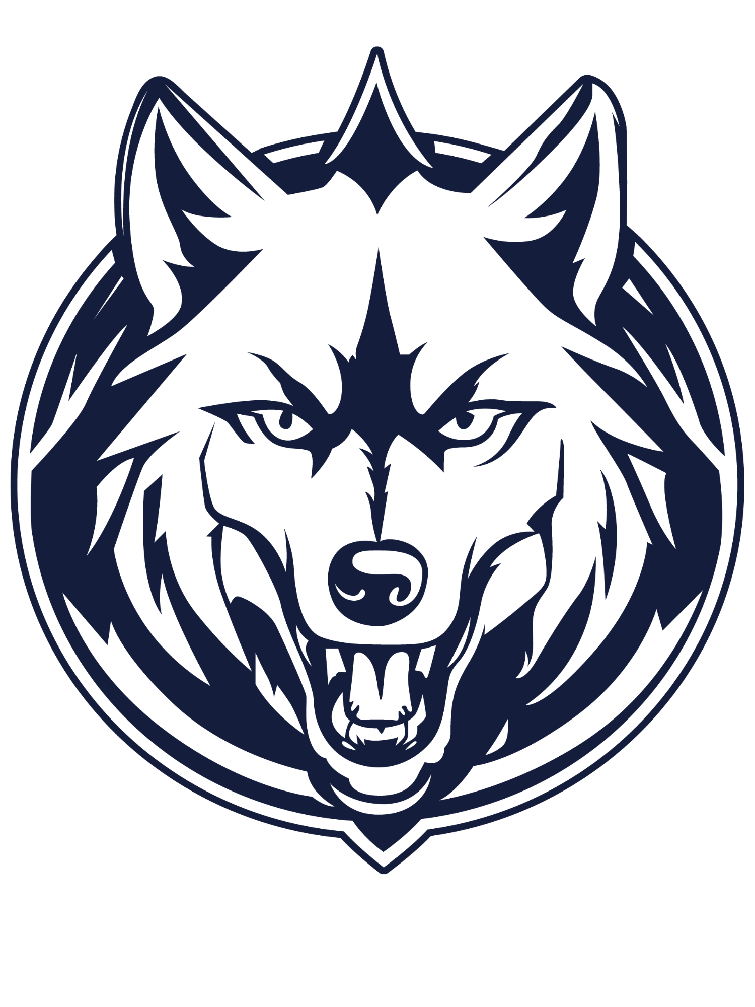 Wolves basketball